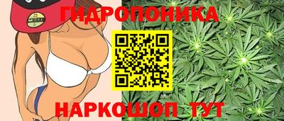ALPHA PVP Гусев