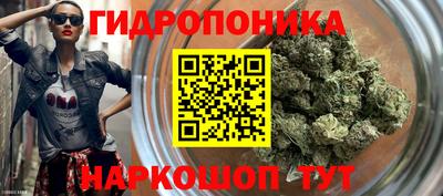 ПСИЛОЦИБИНОВЫЕ ГРИБЫ Гусиноозёрск