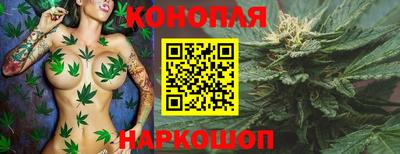 ALPHA PVP Гусев