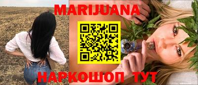 ALPHA PVP Гусев