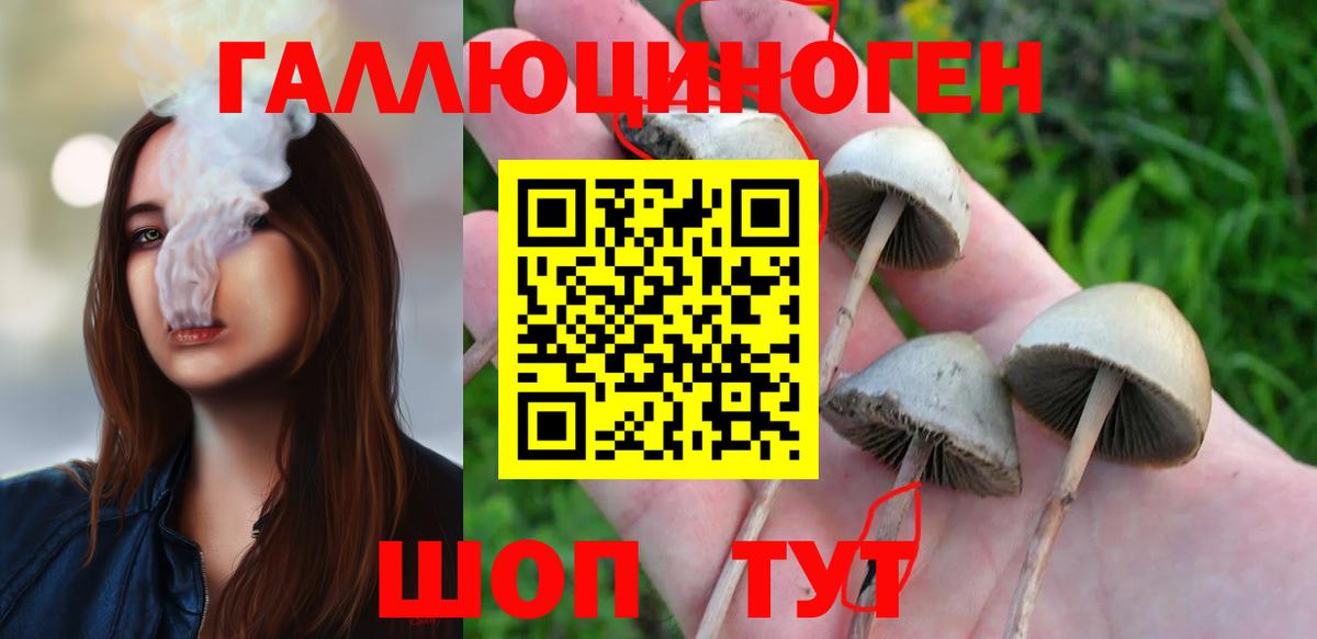 Лобня  Галлюциногенные грибы прущие грибы  Вход с VPN 